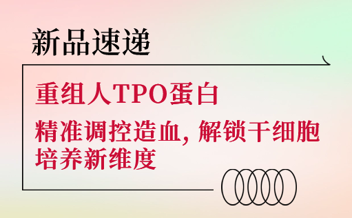 新品速递 | 重组人TPO蛋白震撼上市！精准调控造血，解锁干细胞培养新维度-ag尊龙z6mg